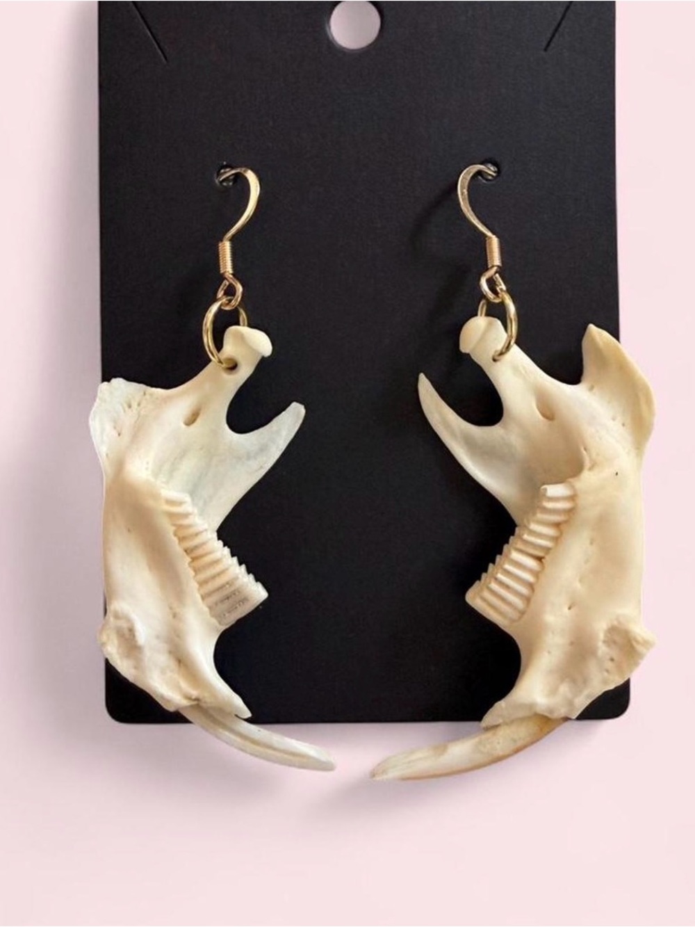 Muscrat Jaw Earrings